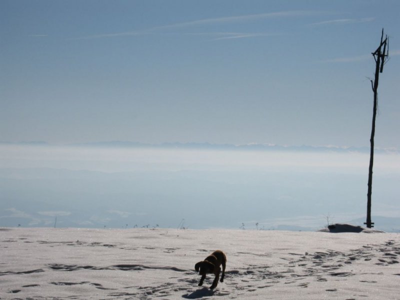 Fogarasi-havasok látképe a Bekecsről